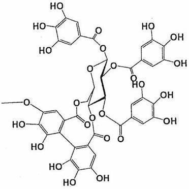 Figure JPOXMLDOC01-appb-C000030