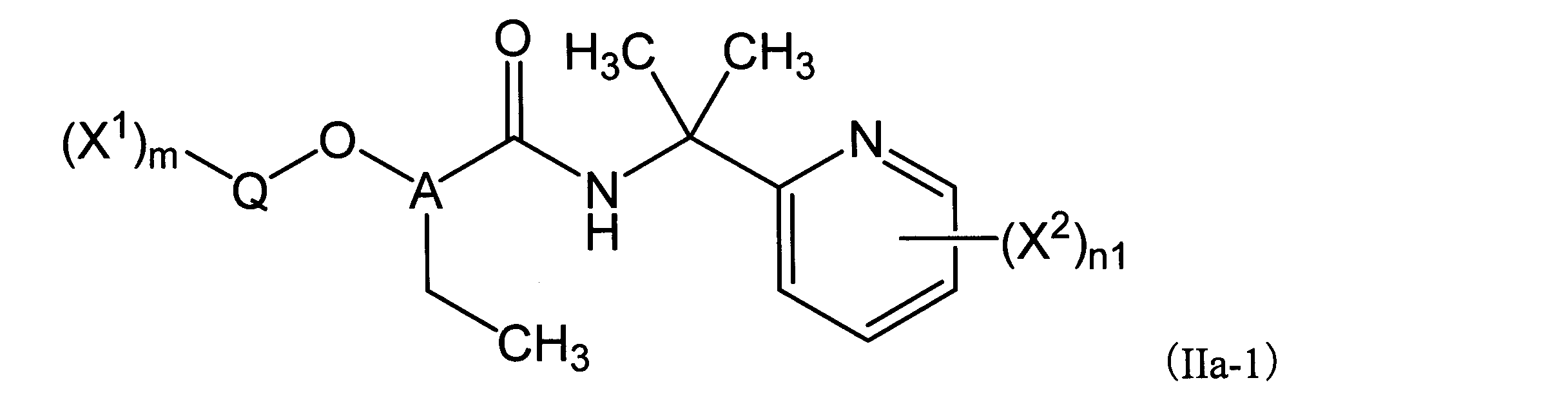 Figure JPOXMLDOC01-appb-C000030