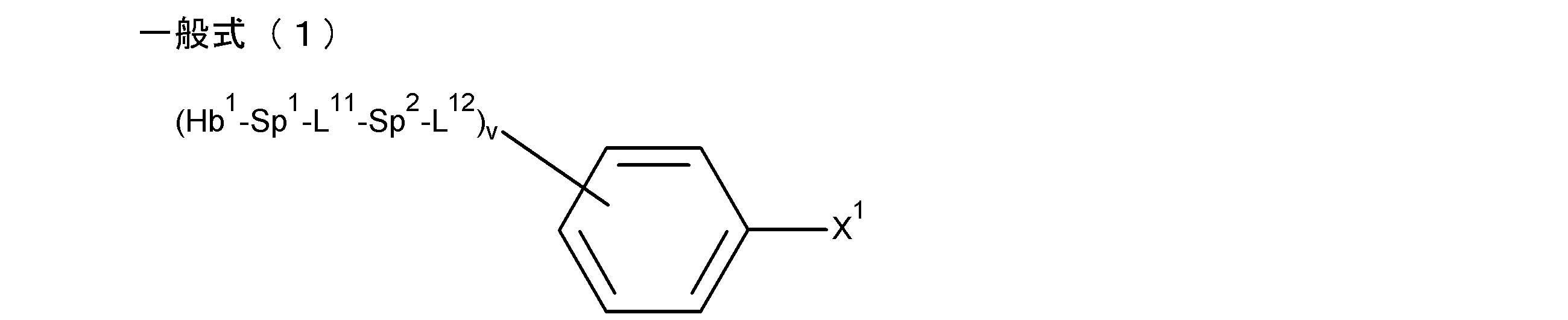 Figure JPOXMLDOC01-appb-C000013