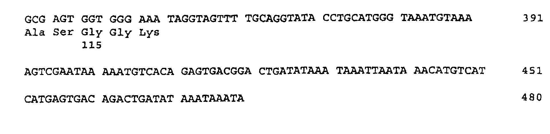 Figure 00240001