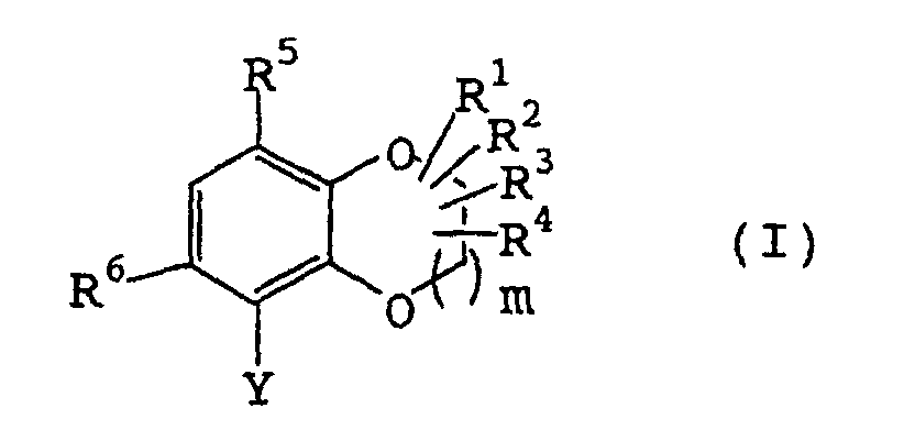 Figure 00510001
