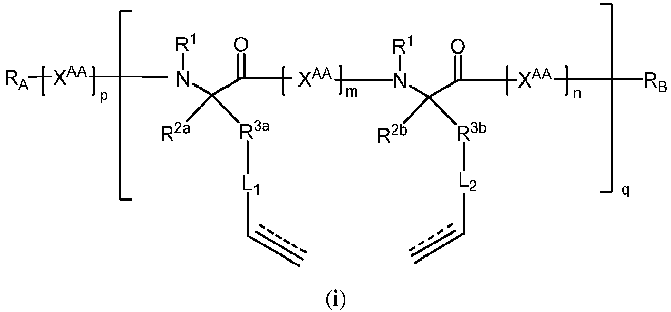 Figure imgb0158