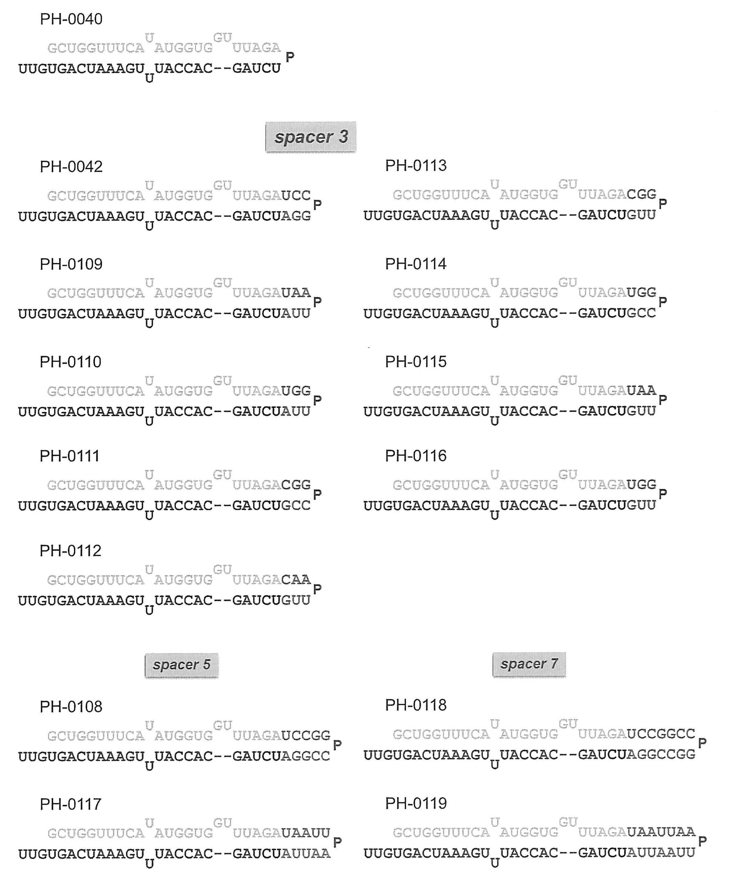 Figure JPOXMLDOC01-appb-C000048