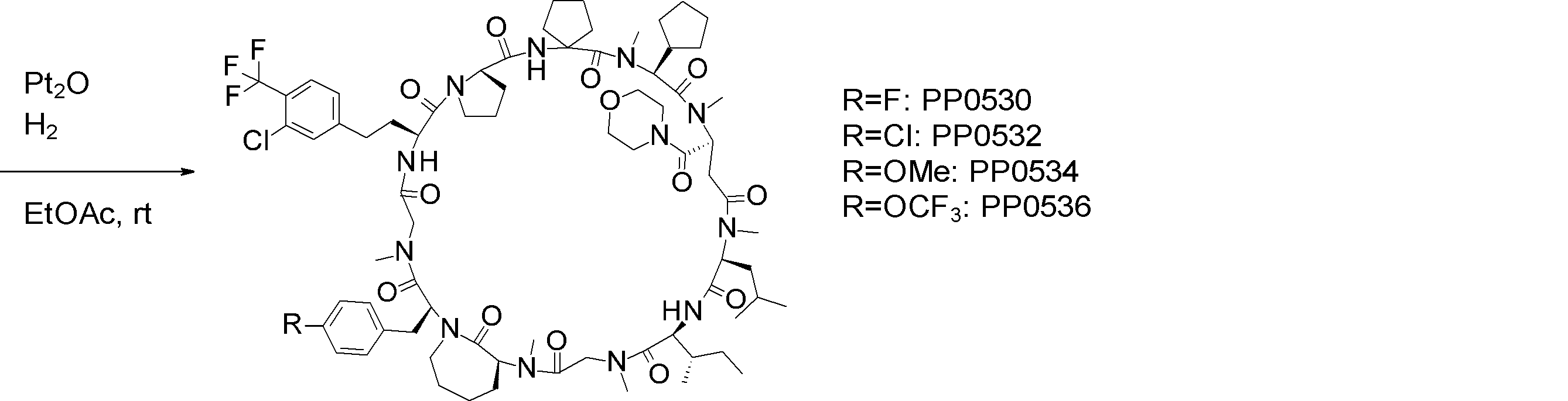 Figure JPOXMLDOC01-appb-I000425