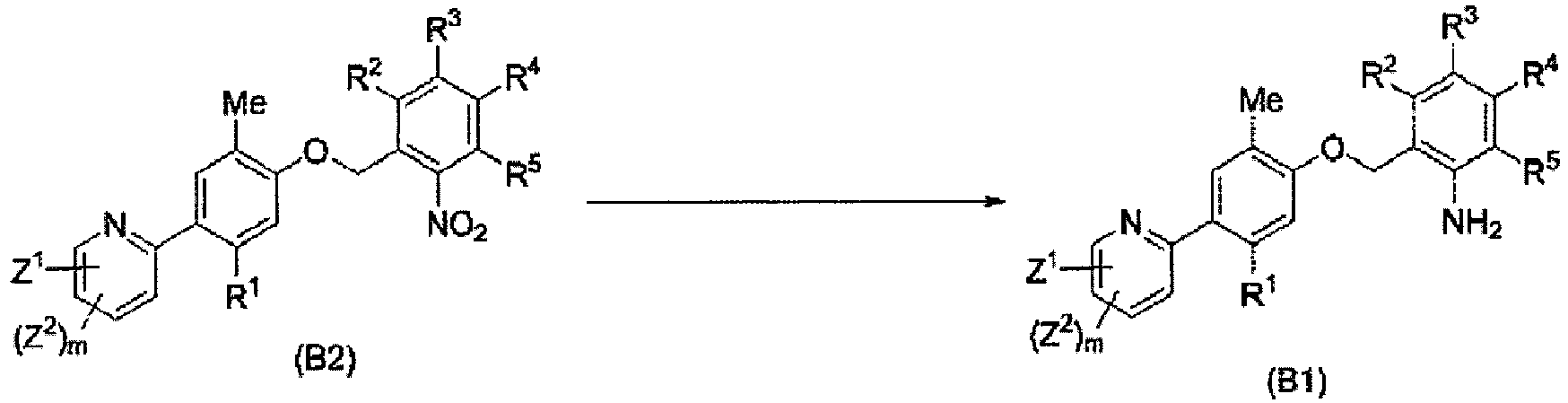 Figure imgb0009