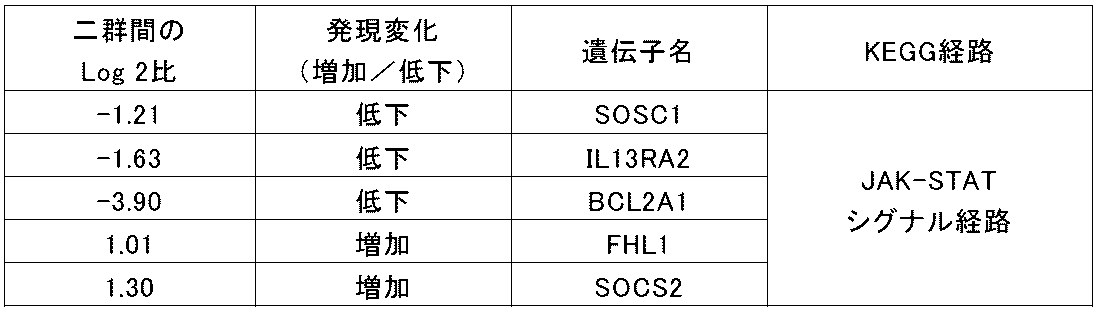 Figure JPOXMLDOC01-appb-T000023