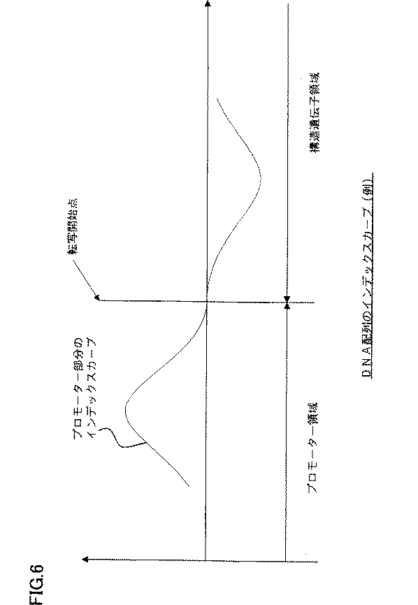 Figure 0004457546