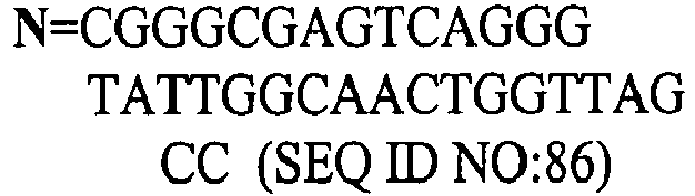 Figure imgb0057