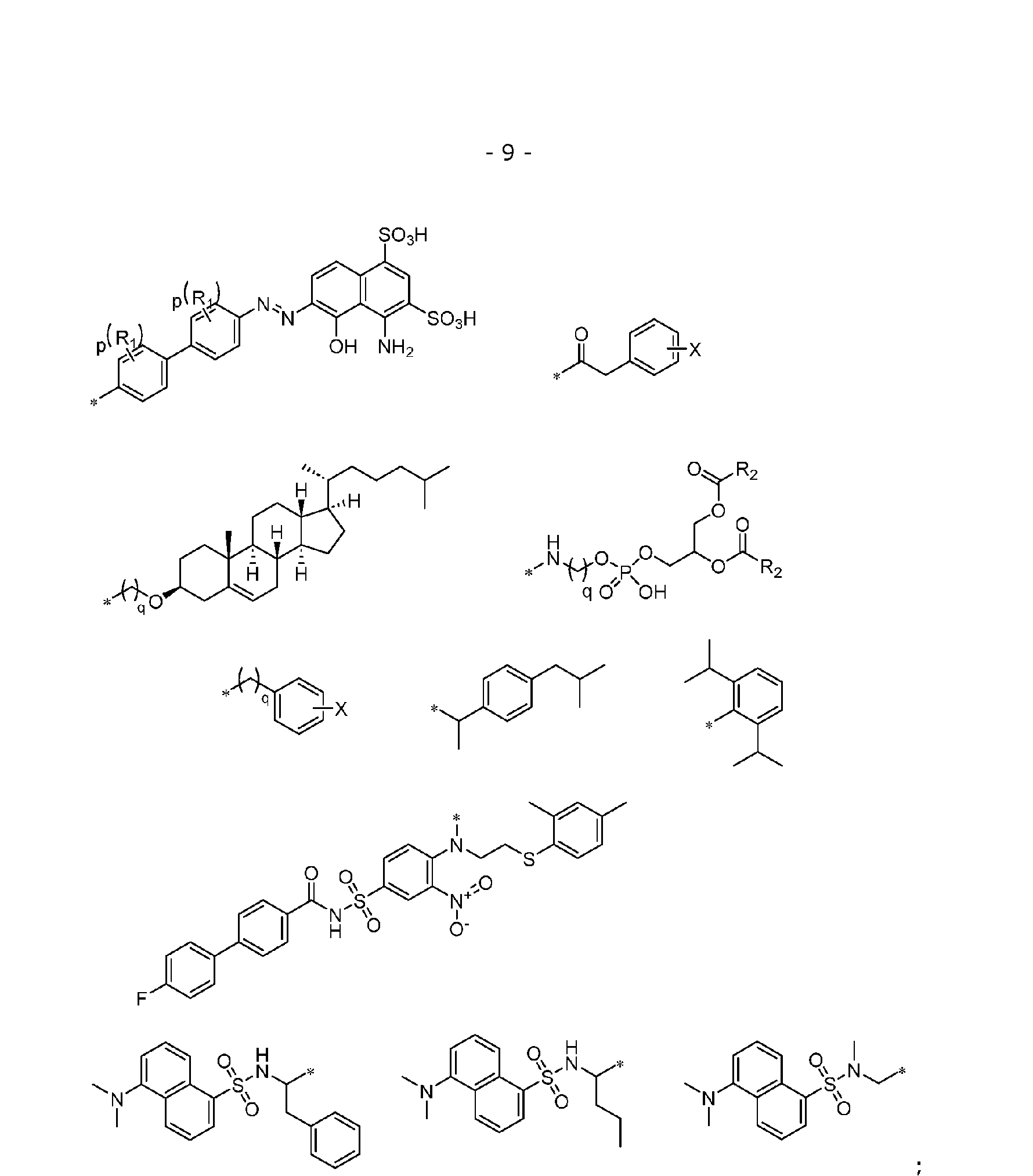 Figure imgf000011_0001