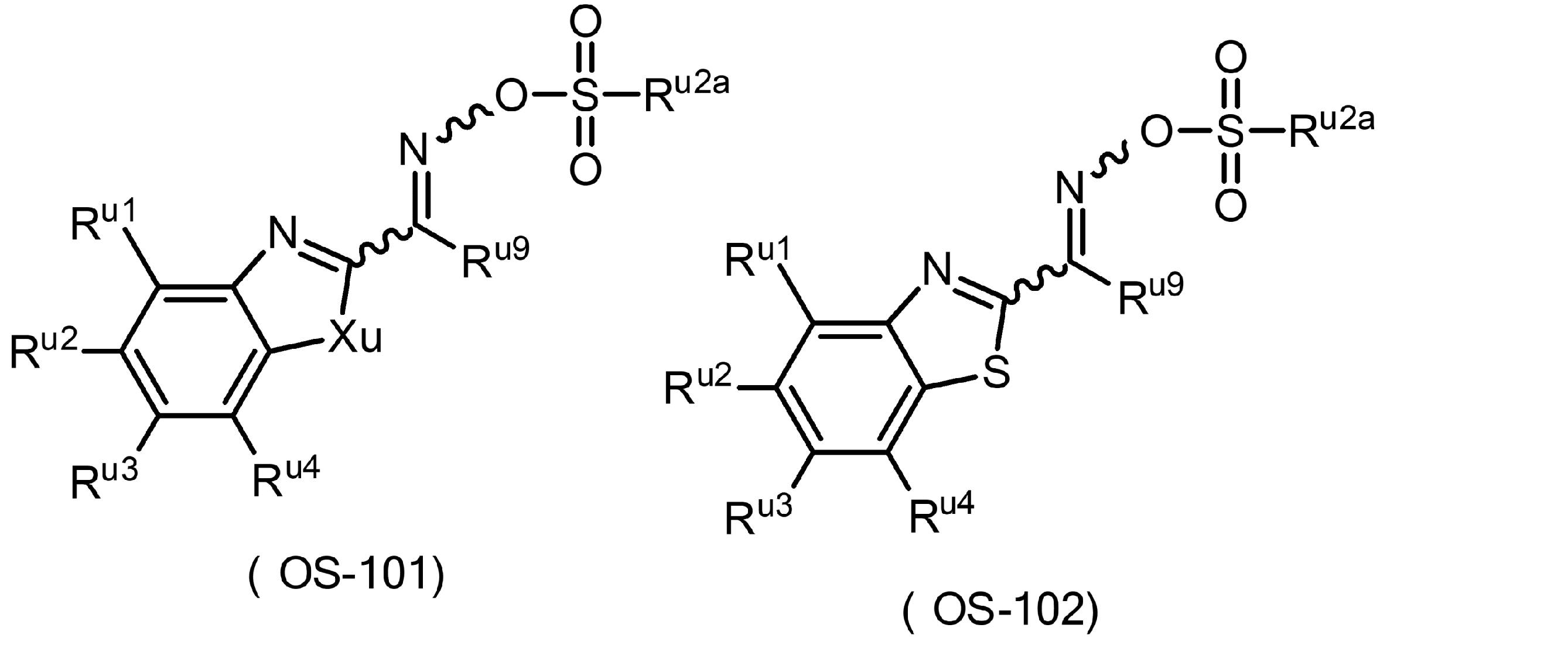 Figure JPOXMLDOC01-appb-C000024