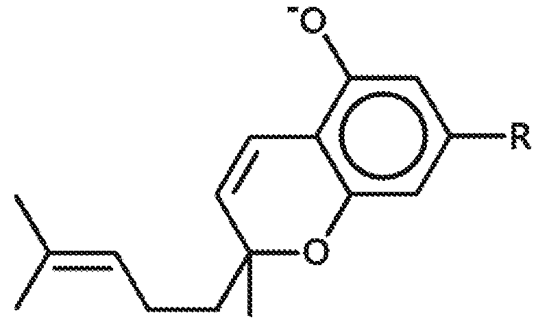 Figure imgf000004_0004
