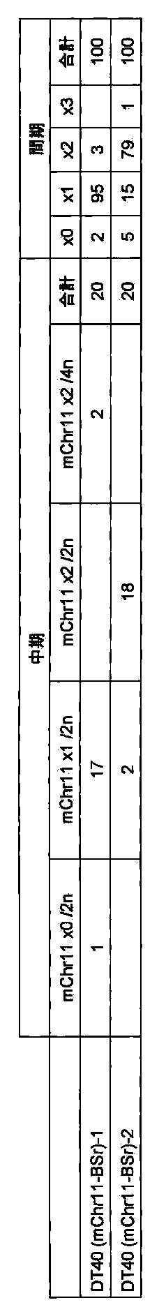 Figure JPOXMLDOC01-appb-I000007