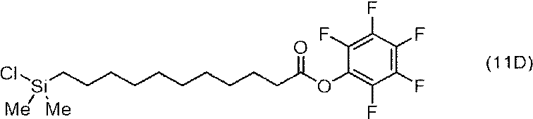Figure JPOXMLDOC01-appb-C000049