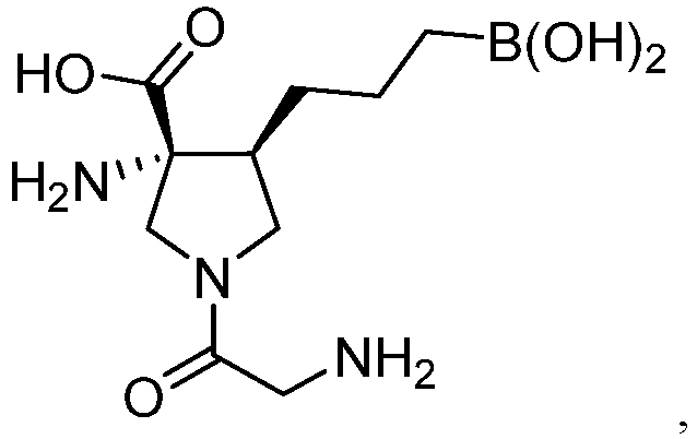 Figure imgb0024