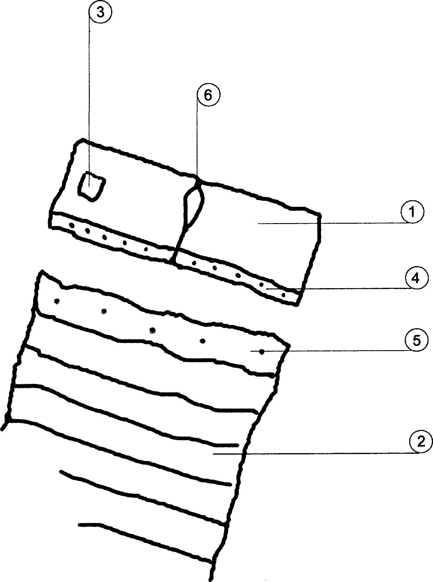 Figure 00000001