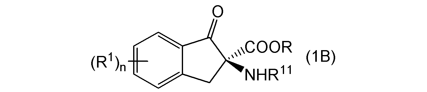 Figure JPOXMLDOC01-appb-C000033