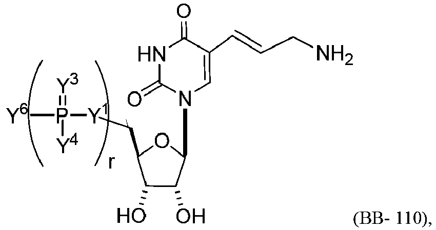 Figure imgb0117