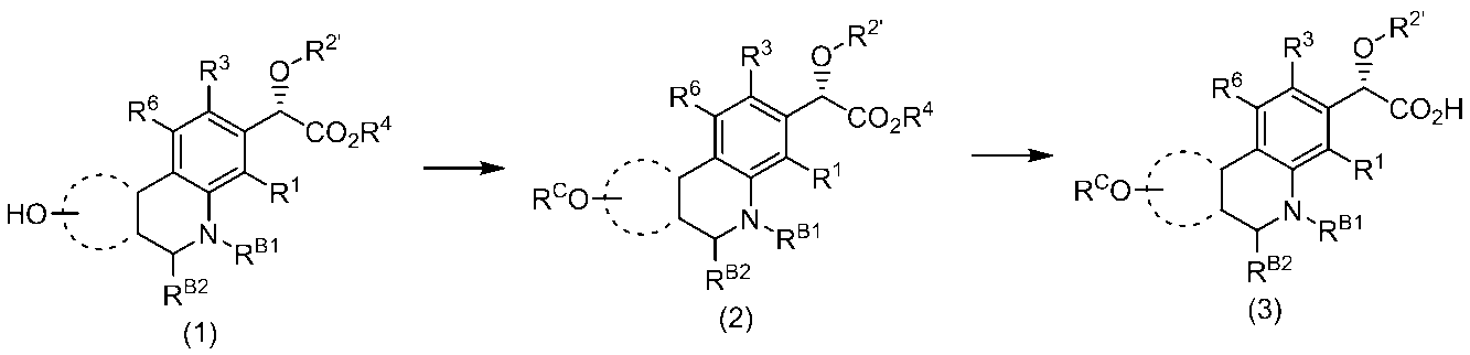 Figure JPOXMLDOC01-appb-C000177