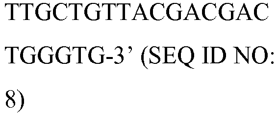 Figure imgb0010