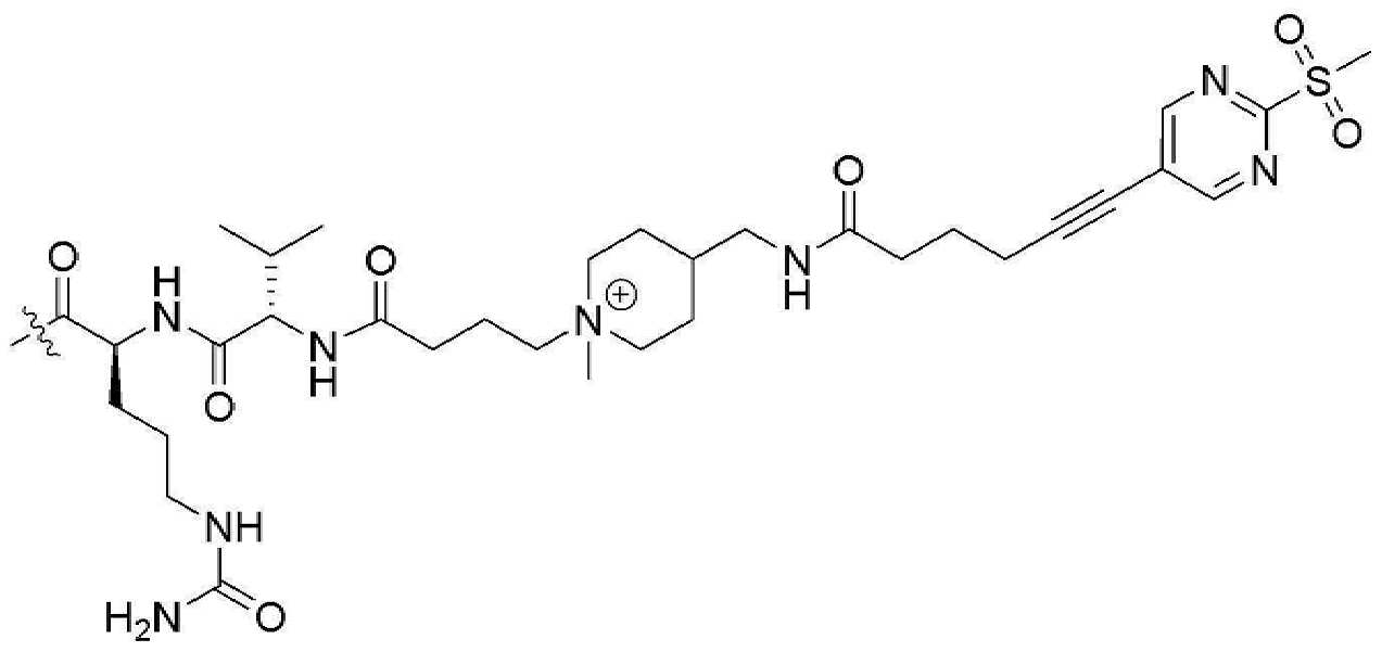 Figure pct00179