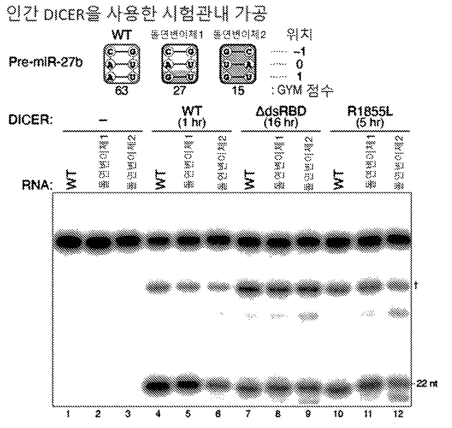특허 도면 120