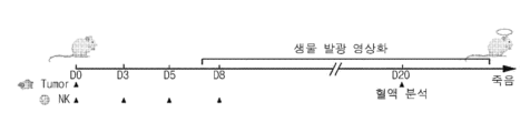특허 도면 19