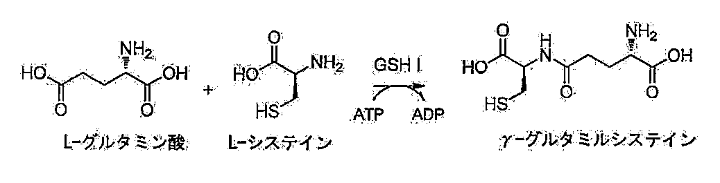 Figure JPOXMLDOC01-appb-C000002