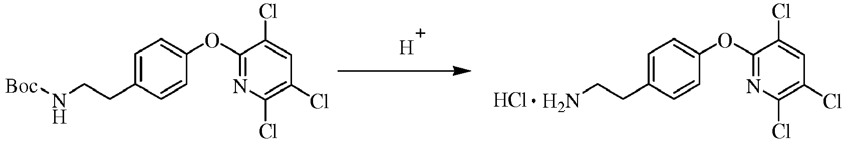 Figure imgb0540