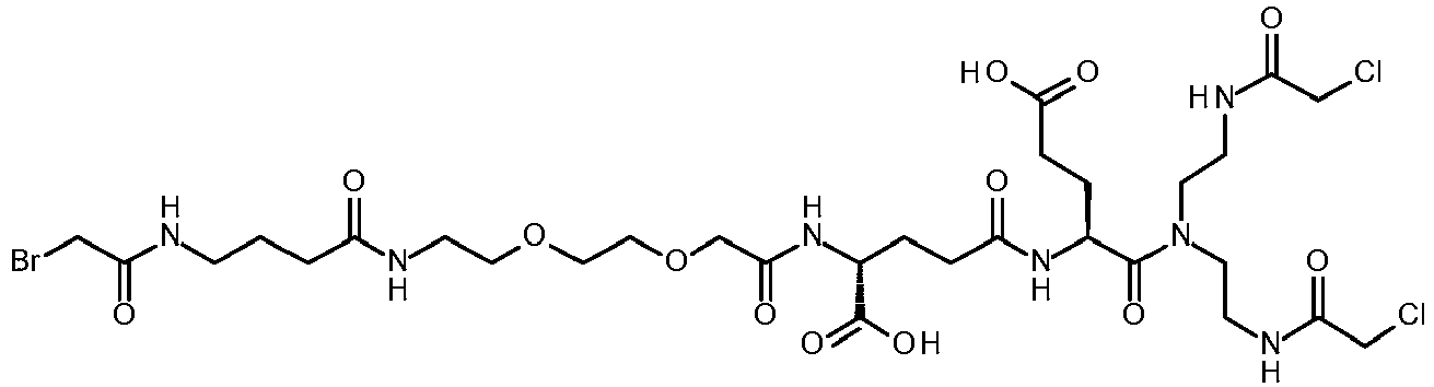 Figure imgb0019