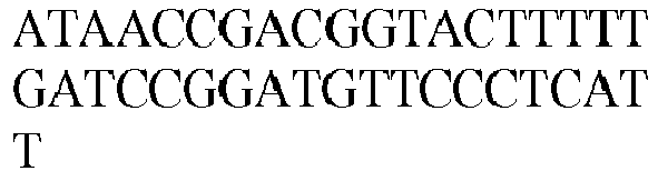 Figure imgb0570