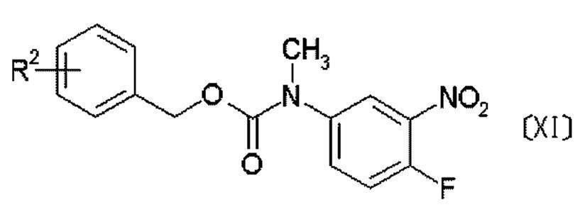 Figure JPOXMLDOC01-appb-C000051