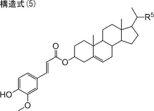 Figure JPOXMLDOC01-appb-C000007