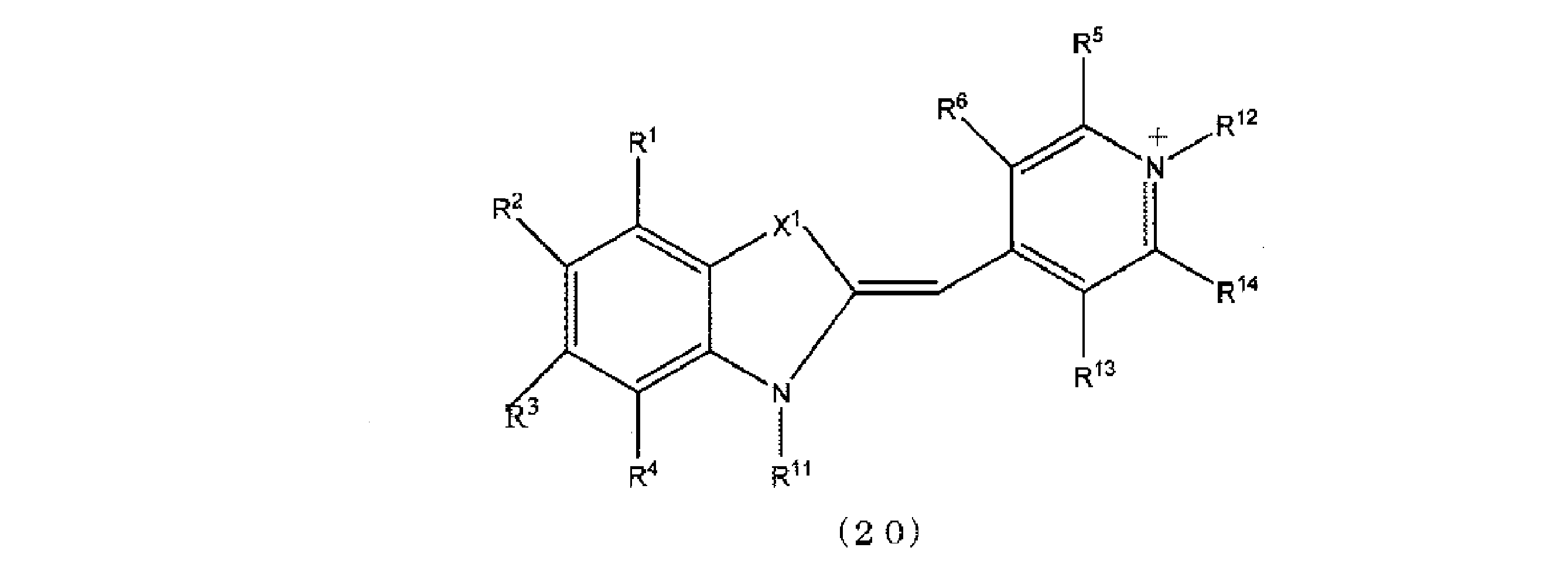 Wo2015152024a1 蛍光性標識一本鎖核酸及びその用途 Google Patents