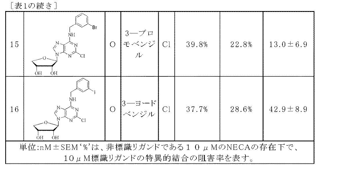 Figure 0005306238