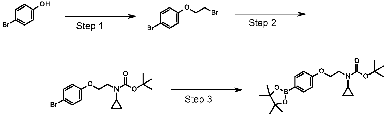 Figure imgb0055