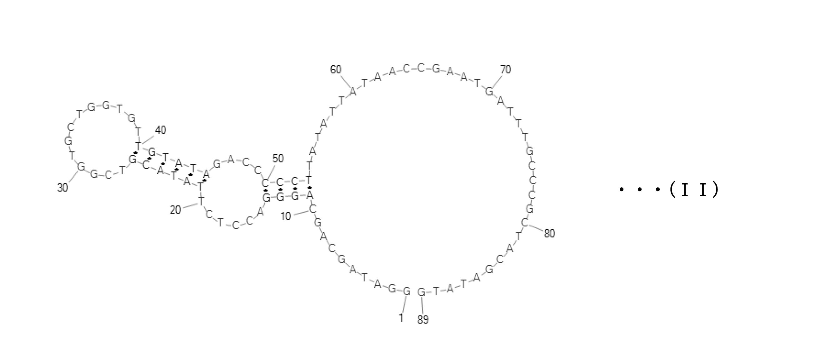 Figure JPOXMLDOC01-appb-C000011