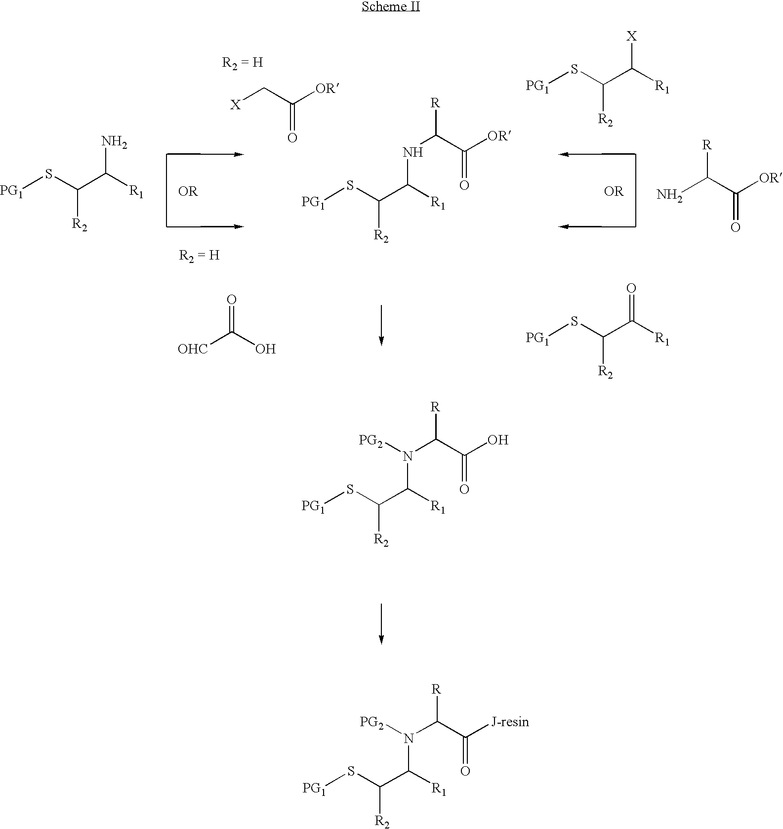 Figure US20030191291A1-20031009-C00007