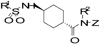 Figure JPOXMLDOC01-appb-C000009