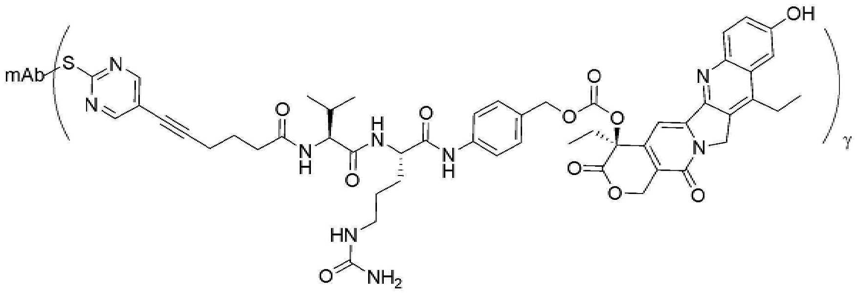 Figure pct01196