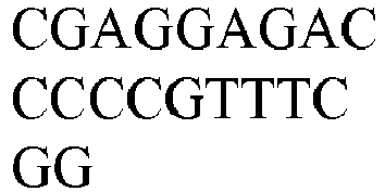 Figure imgb0022