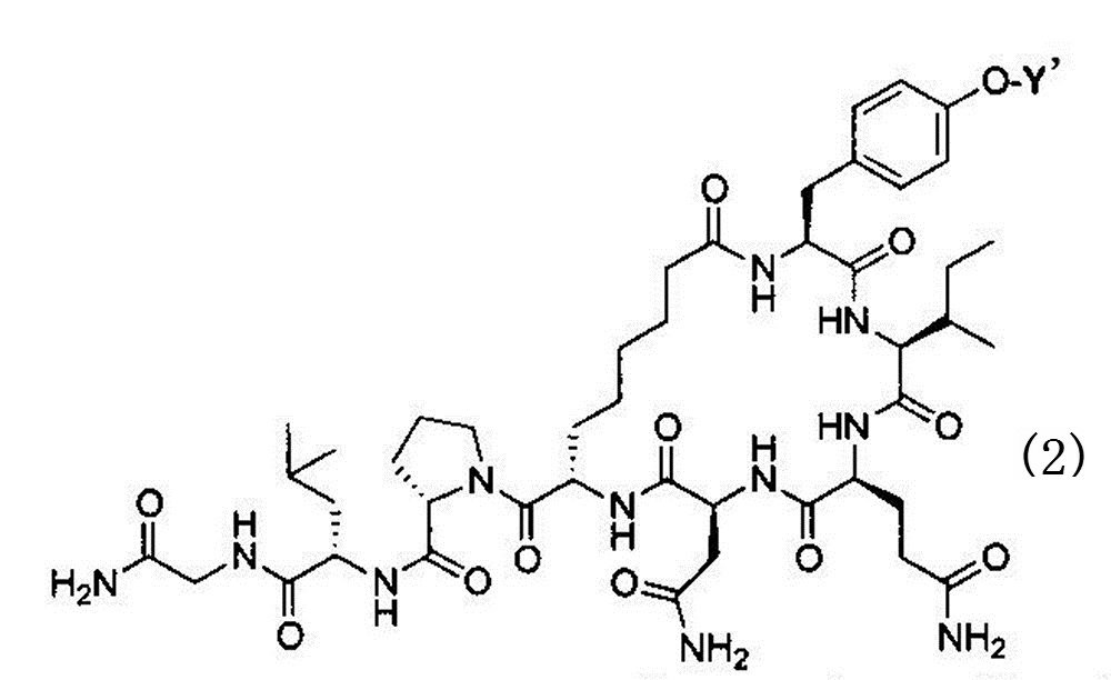 Figure JPOXMLDOC01-appb-C000002