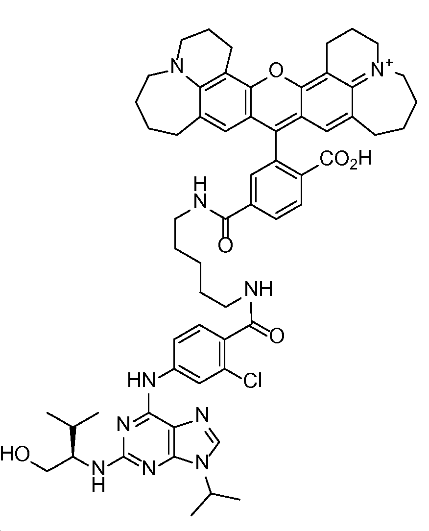 KR20150094696A - 세포내 생물발광 공명 에너지 전이를 이용하여 생물활성제에 의한 세포 표적 결합의 인식 - Google  Patents