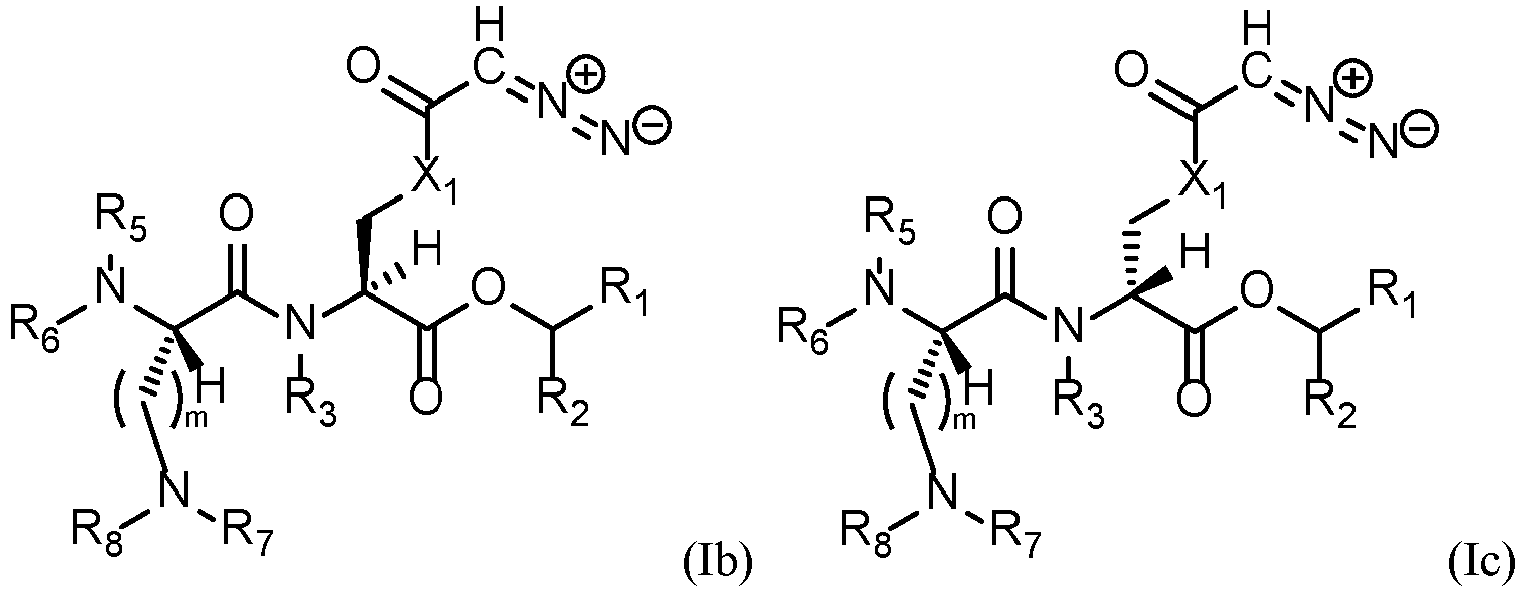 Figure imgb0029