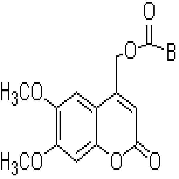 Figure 112006092217023-PAT00007