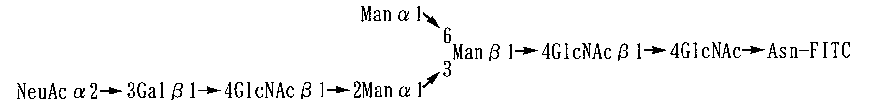 Figure 00970002