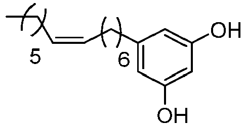 Figure imgb0041