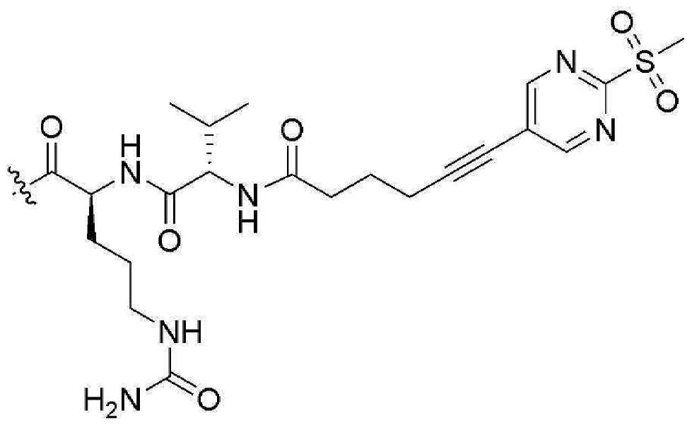 Figure pct00178
