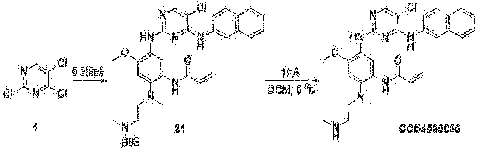 Figure imgb0083