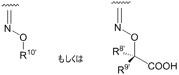 Figure JPOXMLDOC01-appb-C000027