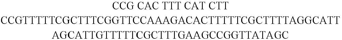 Figure imgb0014